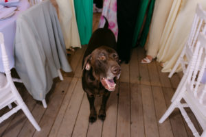 Camille & Fabio wedding mimsy.be 71